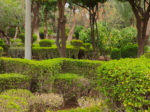 Sunshine Morocco Tours-马拉喀什必去景点