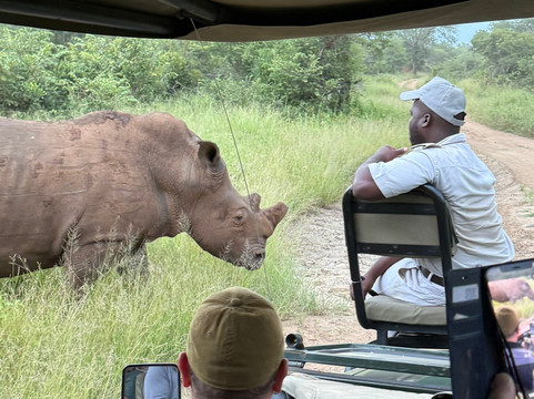 Karongwe Private Reserve-霍德斯普鲁特必去景点