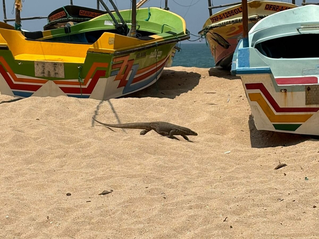 Italia Beach Hotel主图