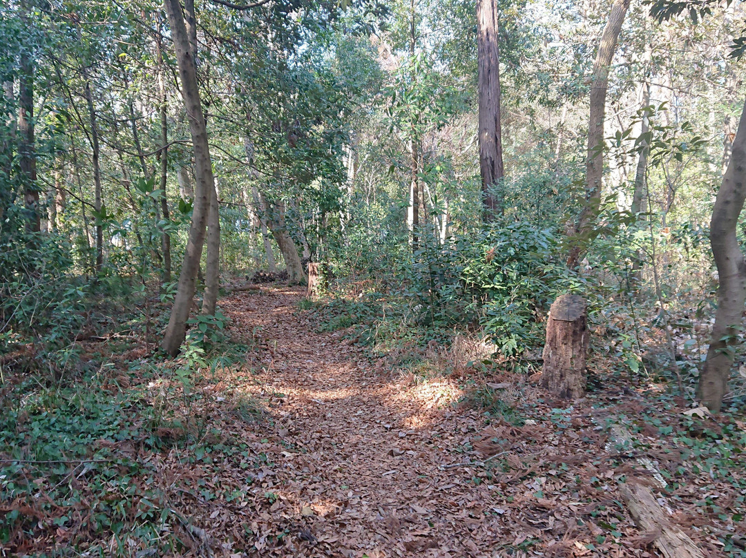 Shiroi Park Complex-白井市必去景点