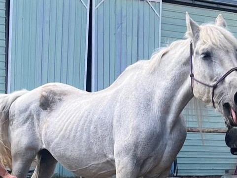 Spokane Trail Rides-斯波坎必去景点