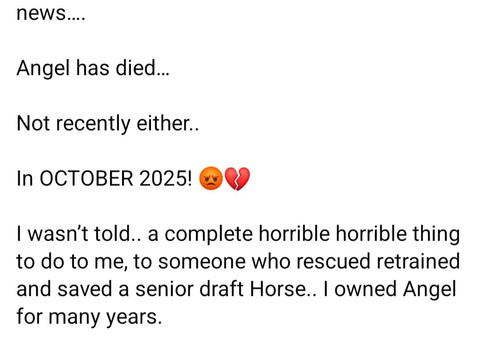 Spokane Trail Rides-斯波坎必去景点