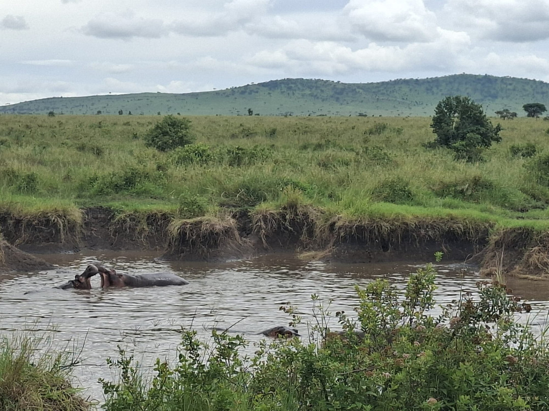 Predators Safari Club-阿鲁沙必去景点