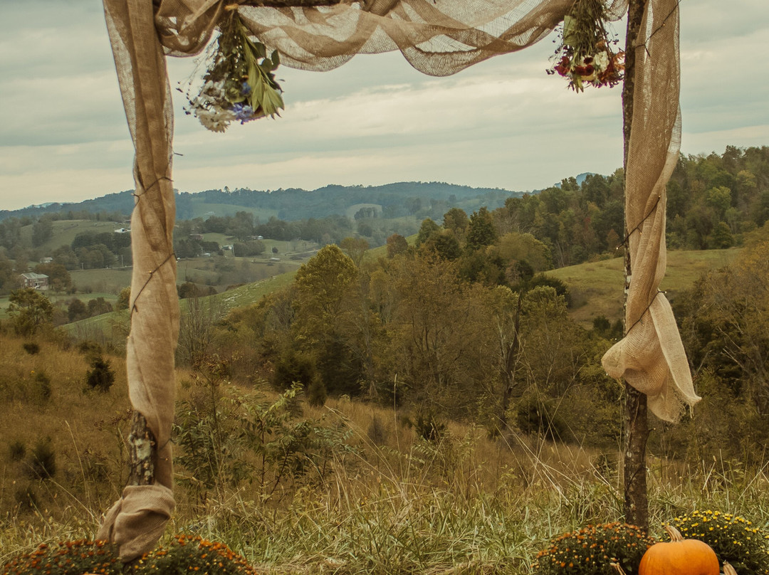 Meadow Haven Farm