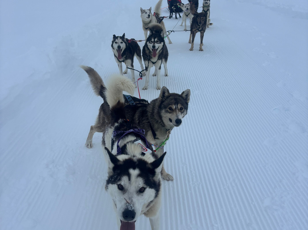 Alpi Traineau-Orcieres必去景点