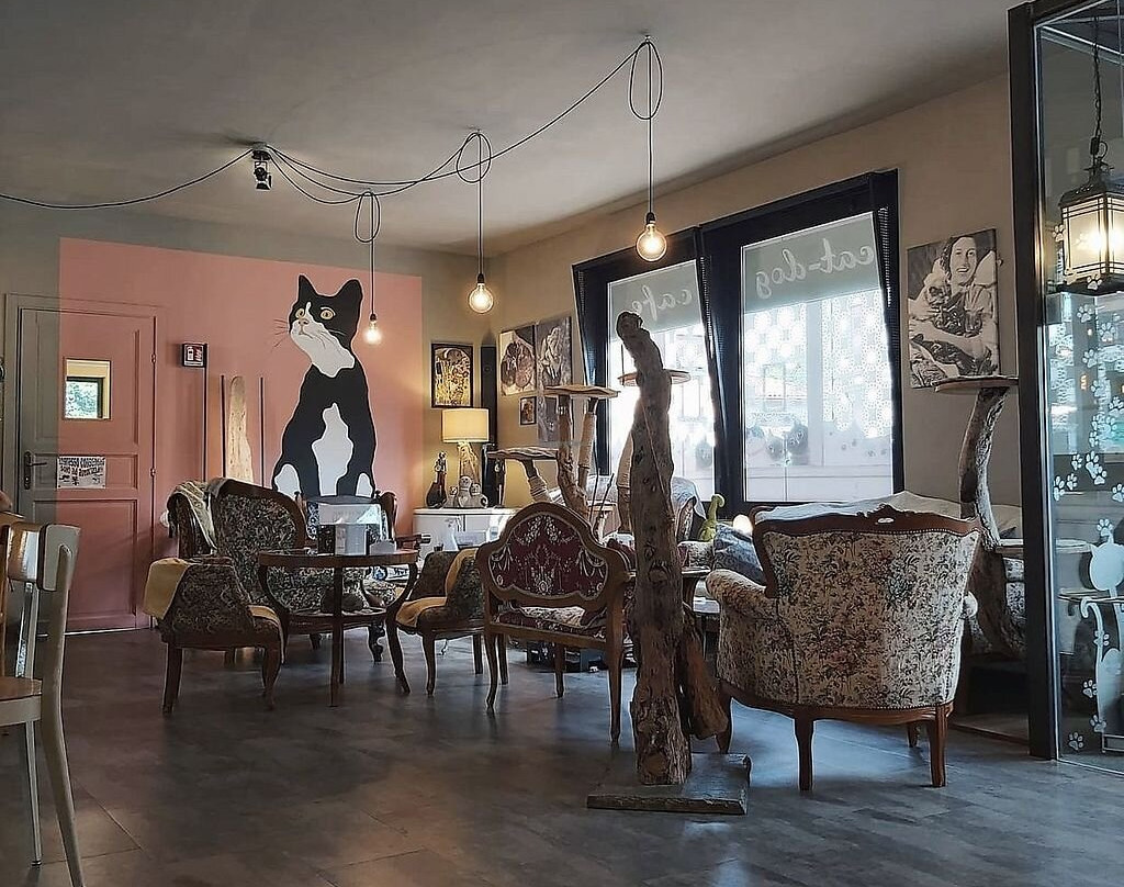 Di cane in gatto-Martignacco必去景点