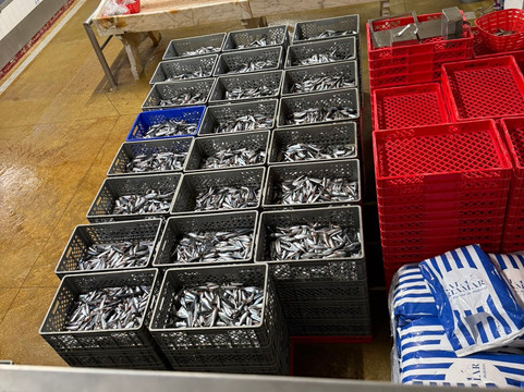 Conservas Pinhais - Factory Tour-马托西纽什必去景点