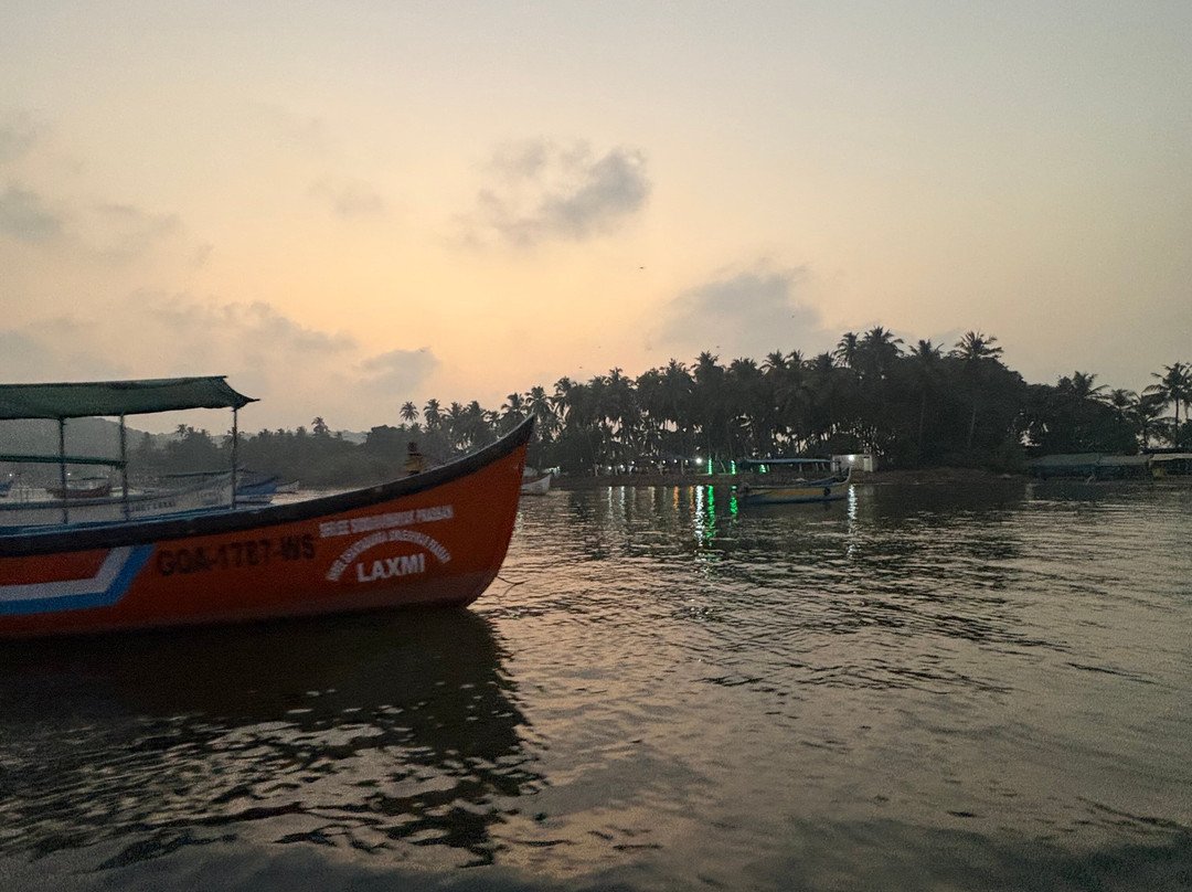 Dolphin Boat Trips Adventures North Goa-Nerul必去景点