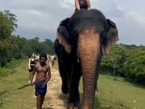 I and U Tours-Ganemulla必去景点