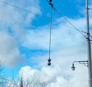 Barenpark-伯尔尼必去景点