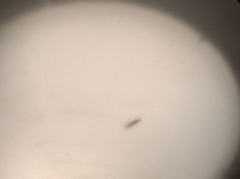 半月湾旅舍主图