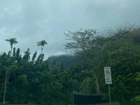 火玛卢霞植物园-卡内奥赫必去景点