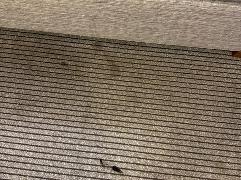 迈尔斯堡弗鲁姆凯悦嘉轩酒店主图