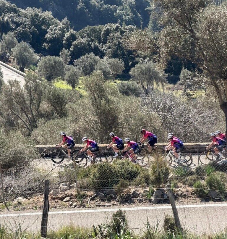 Clips Mallorca Cycling | bike rental Can Pastilla-坎帕斯蒂利亚必去景点