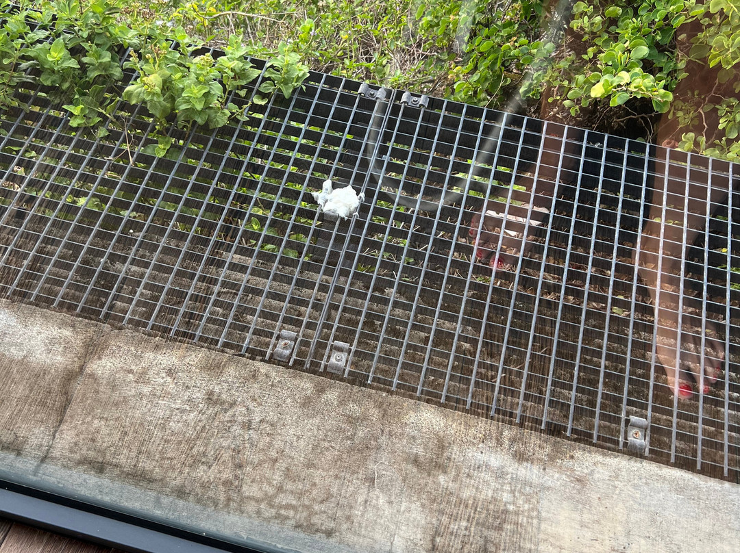 图巴纳Spa酒店主图