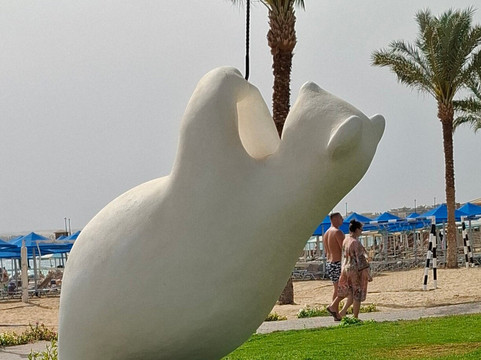 The Bear and the Balloon-Sahl Hasheesh必去景点