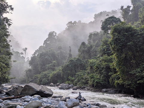 Sumatra Orangutan Explore-武吉拉旺必去景点