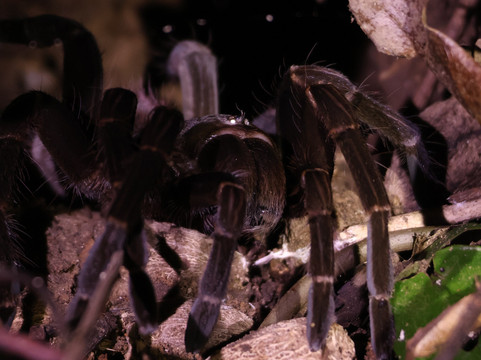 Manuel Tour Guide-卡维塔必去景点