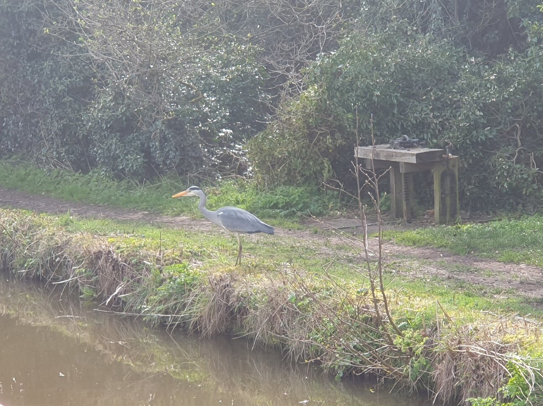 ABC Boat Hire-Northwich必去景点