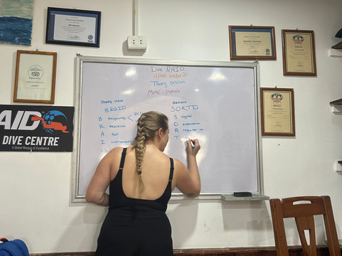 Penguin Divers Club-达哈卜必去景点