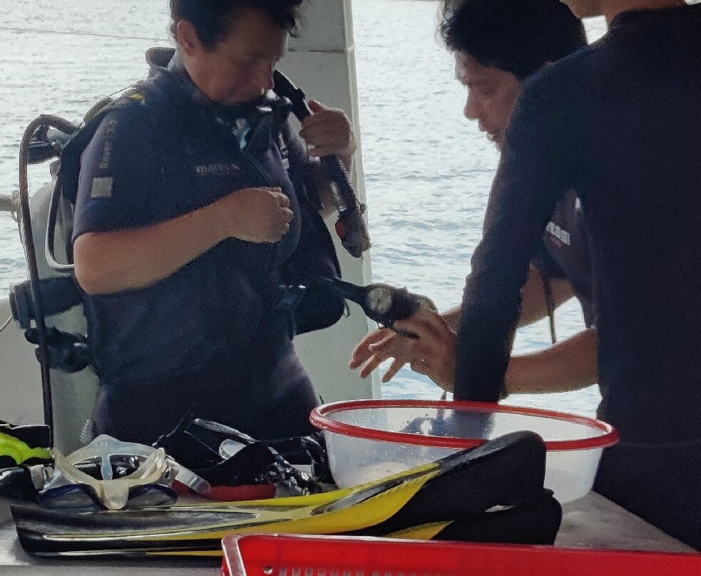 Phil Hai Diving Phu Quoc Island-富国岛必去景点