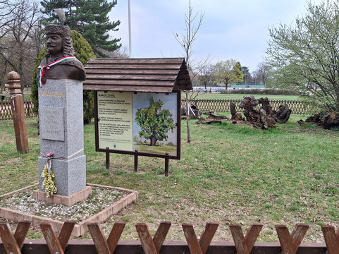 Balatonakarattya Magaspart-Balatonakarattya必去景点