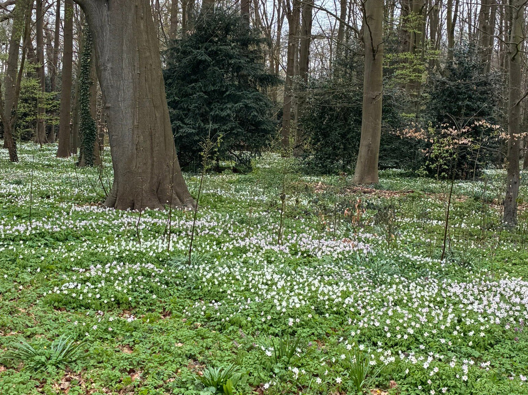 Leidse Hout Park-莱顿必去景点