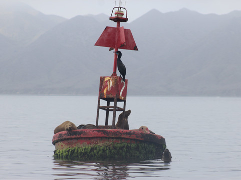 Murillos Bros Adventours-Puerto San Carlos必去景点