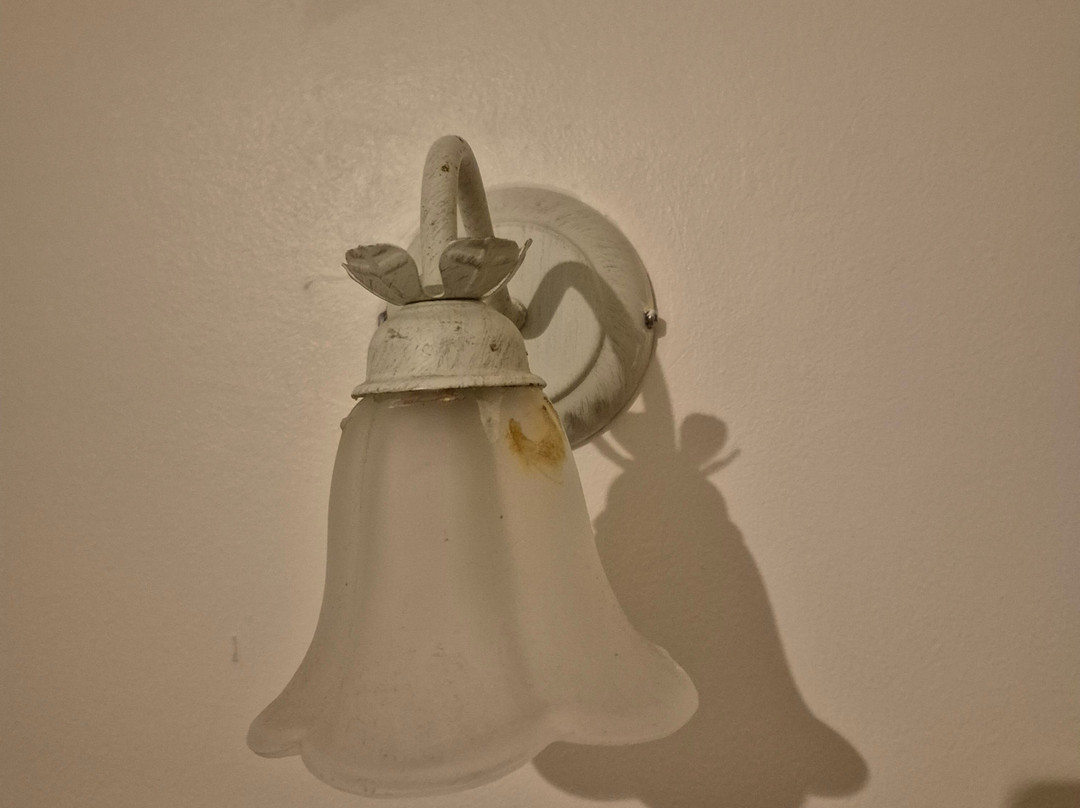 紫丁香住宿加早餐旅馆主图