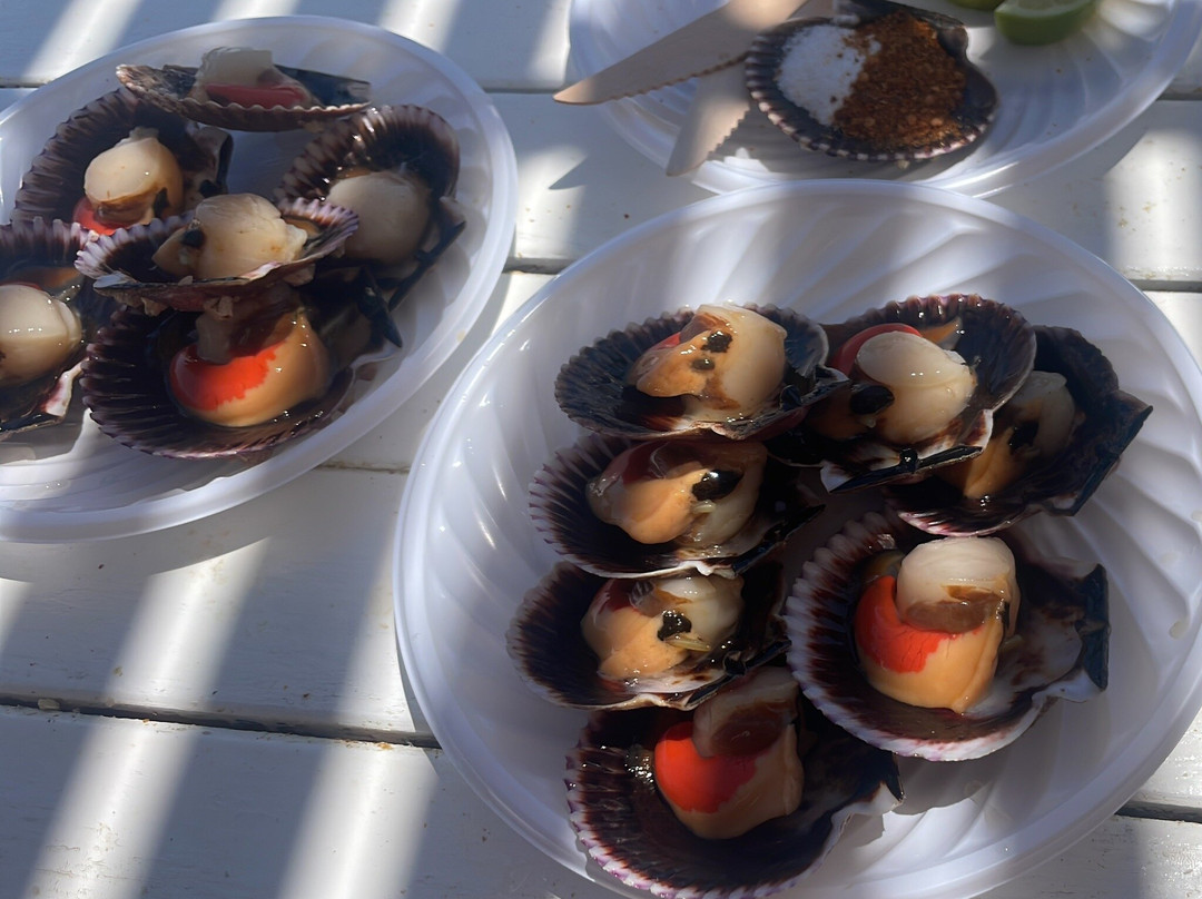 Bahia Inglesa-Copiapo必去景点