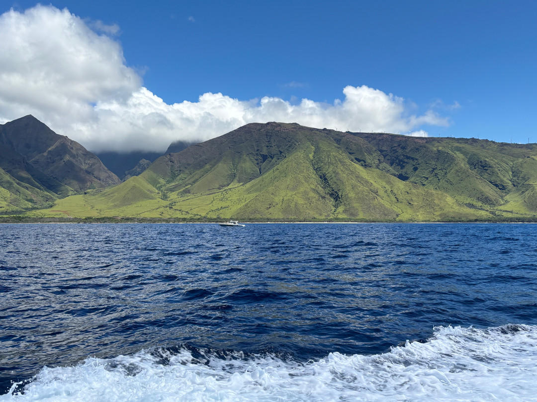 Maui Snorkeling-玛阿拉也亚必去景点