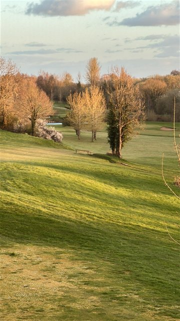 贝尔斯酒店-官方