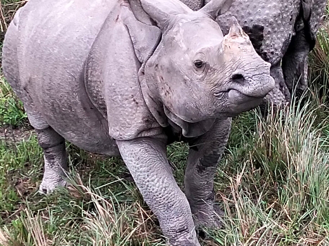 Passoin India Tours-新德里必去景点