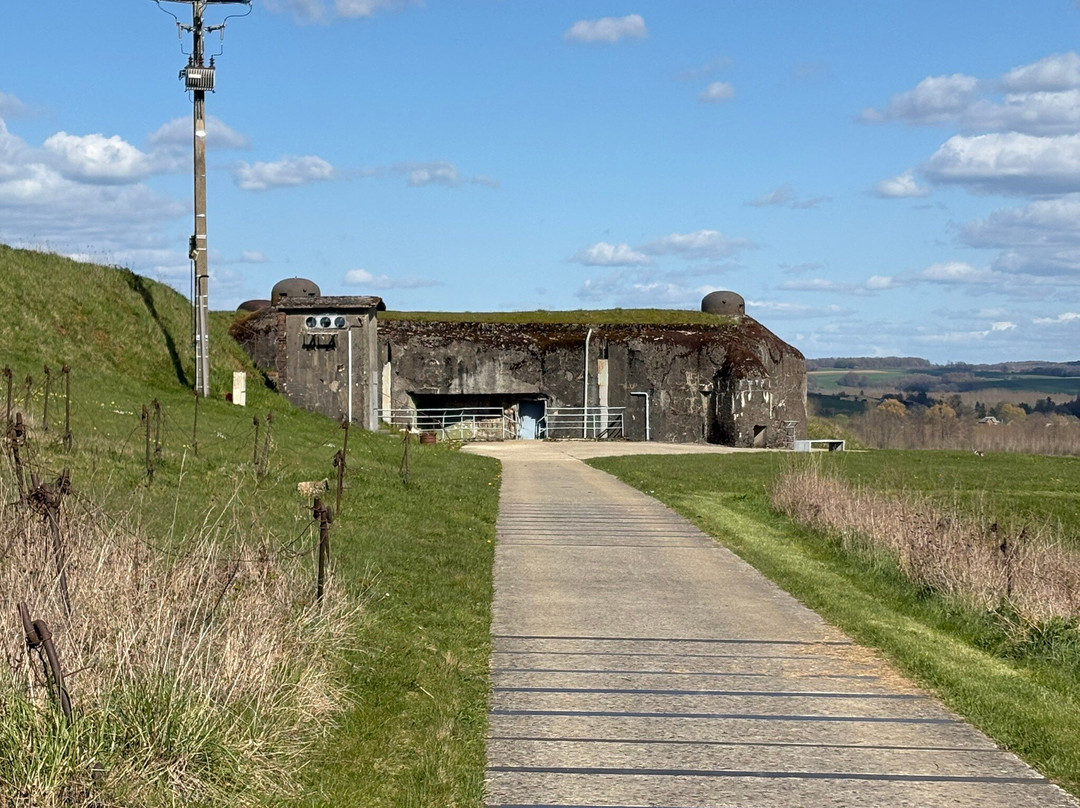 Maginot Line Tours - Tucker Tours-Sedan必去景点
