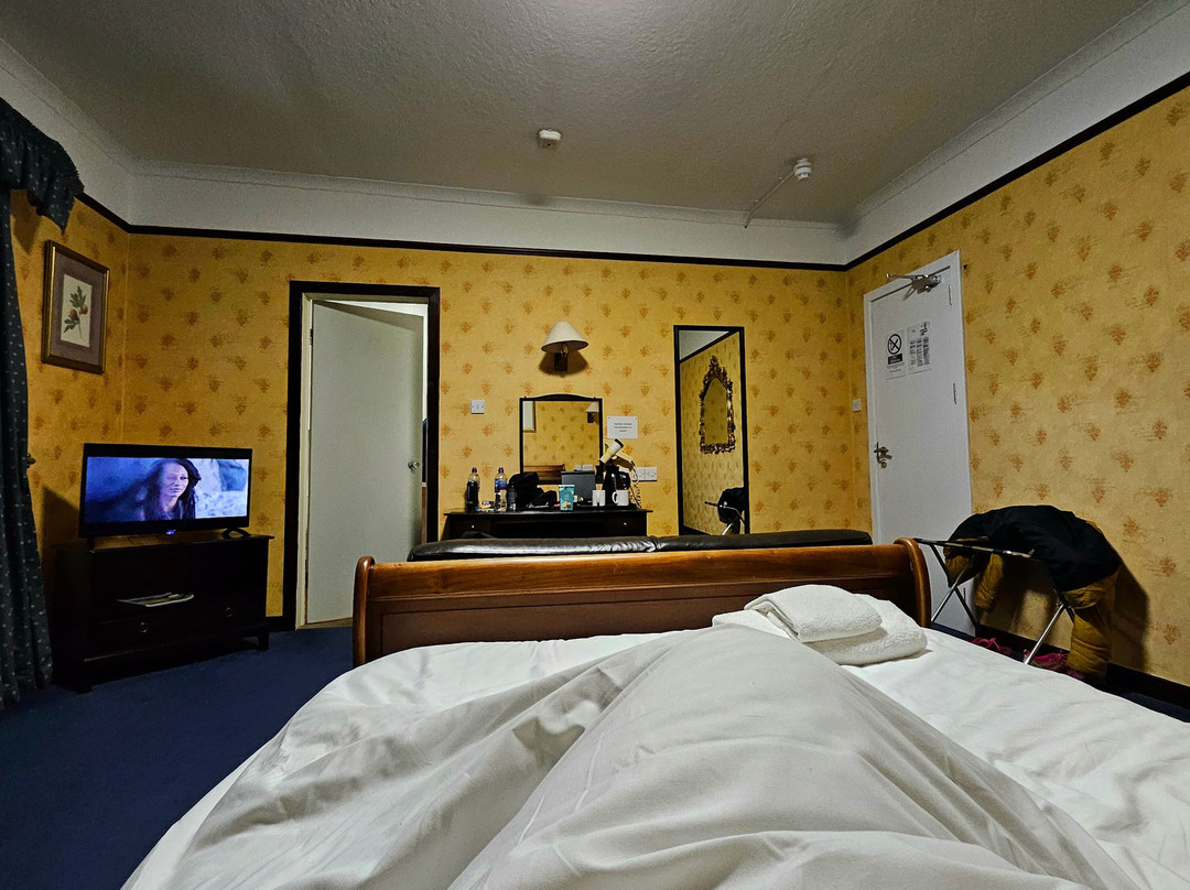 布鲁斯酒店主图