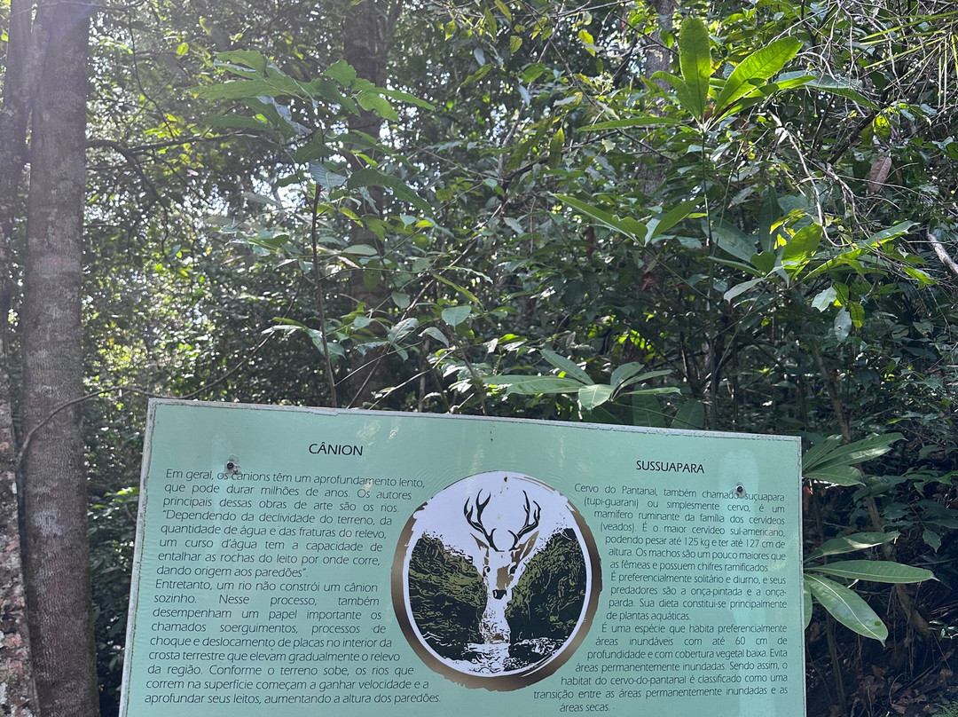 Jalapão Com Gui ecoturismo e aventura-Palmas必去景点