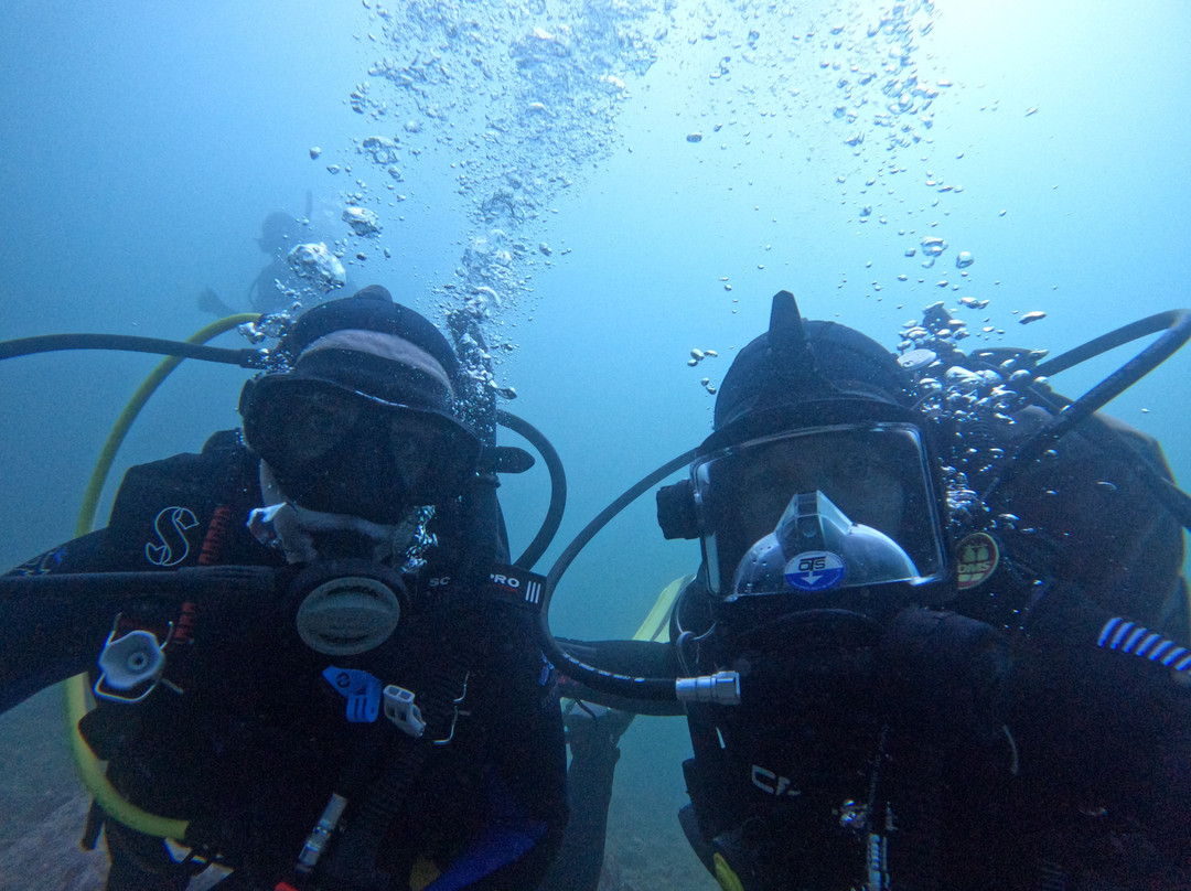 Baja Blue Diver-恩塞纳达必去景点