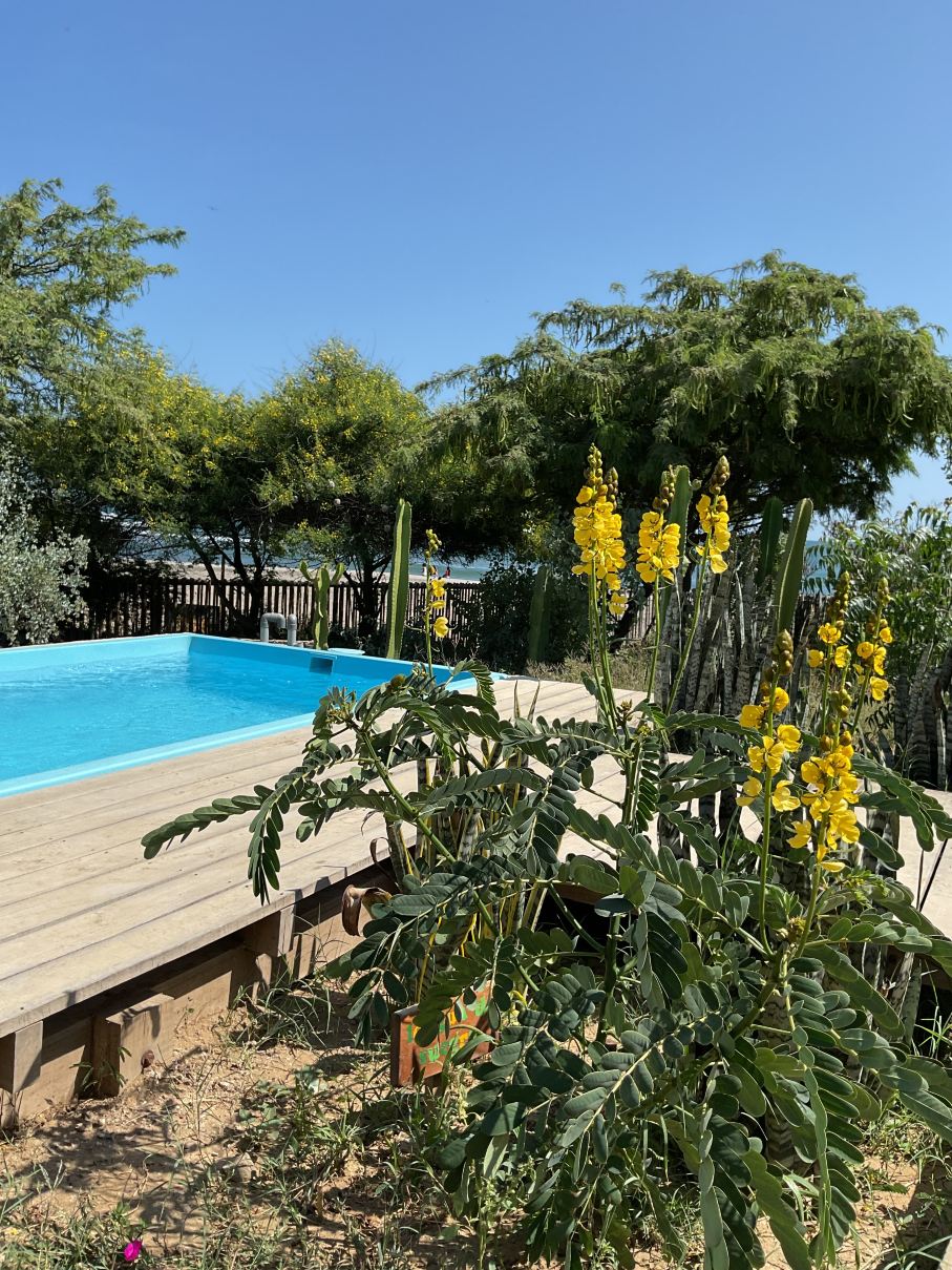 Aitama Hotel and Restaurante-官方