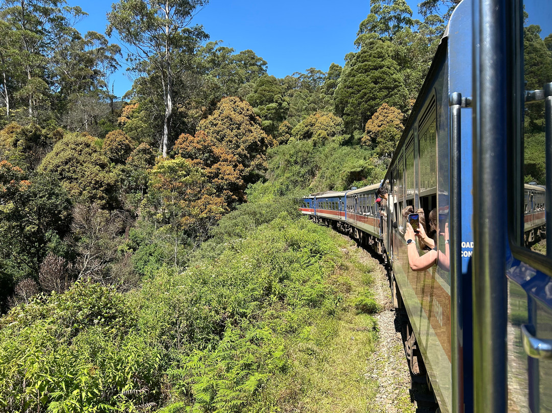 Sri Lankan Kemi Tours-卡图纳耶克必去景点