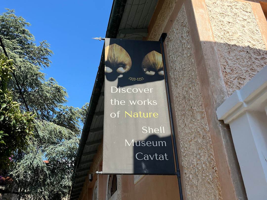 Glossus Humanus, Shell Museum Cavtat-察夫塔特必去景点