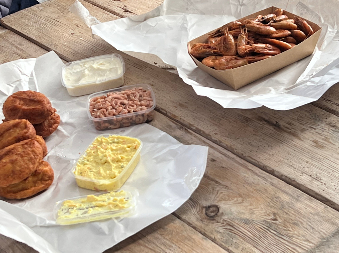 Jyllandsakvariet-Thyboron必去景点