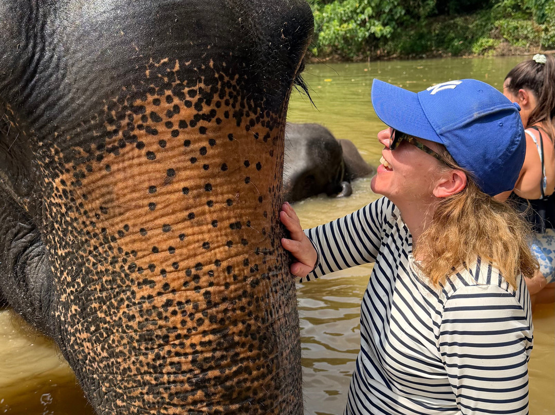 The Lake Phuket Elephant Home-Thep Krasatti必去景点