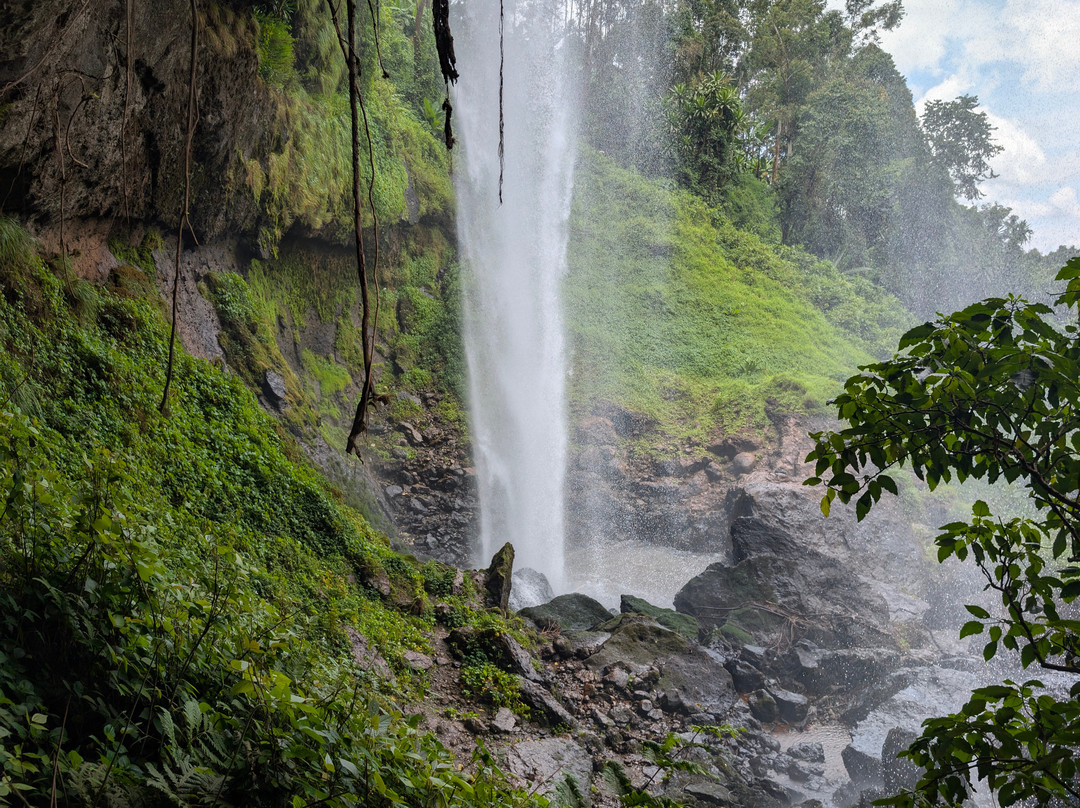 Mt. Elgon Hikes Uganda-Sipi必去景点