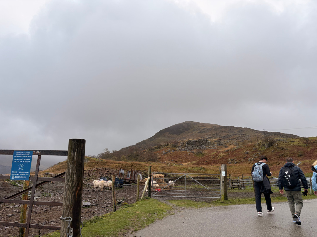 RAW Adventures Mountain Activities Ltd-Llanberis必去景点