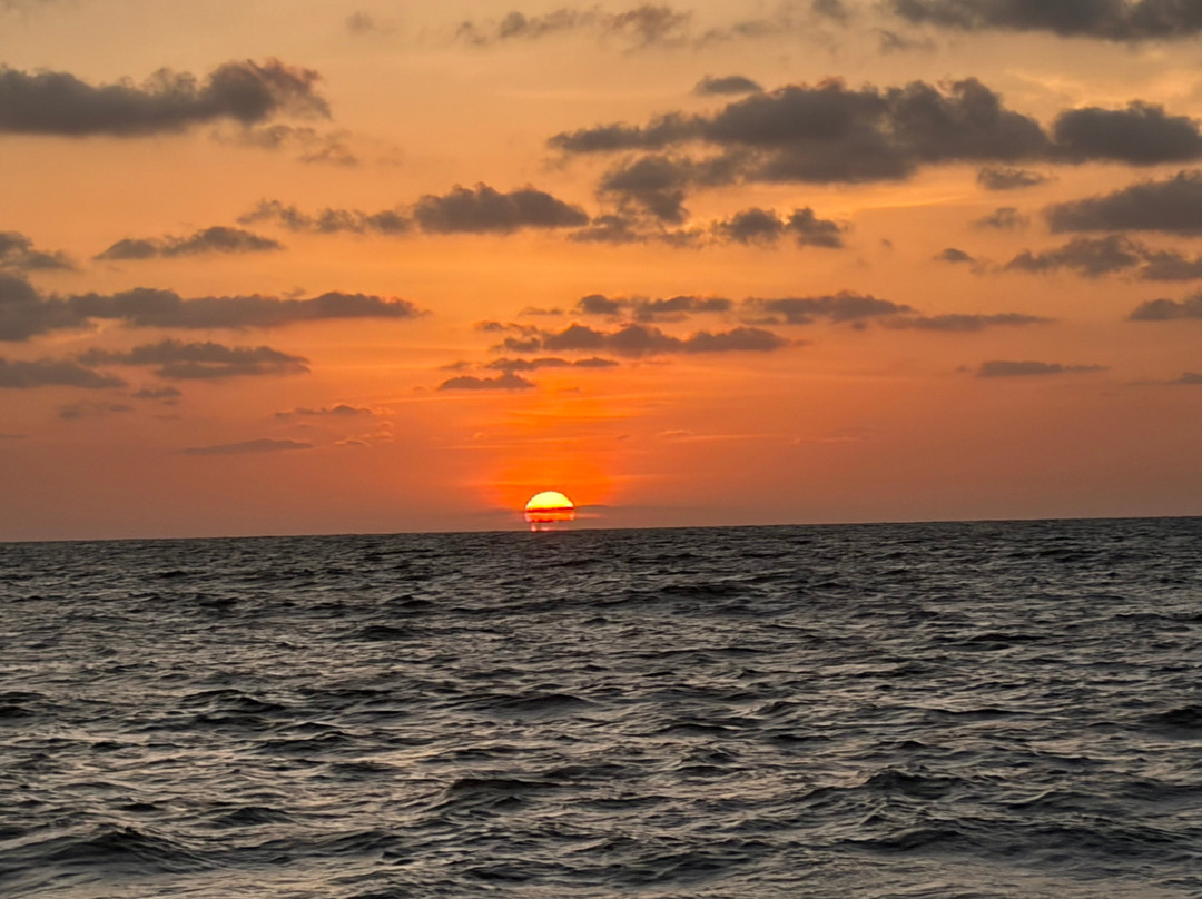 Kochi Taxi 24X7-柯钦必去景点