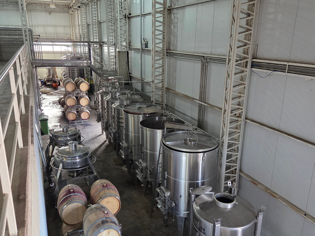 Bodega Budeguer-阿格雷洛必去景点