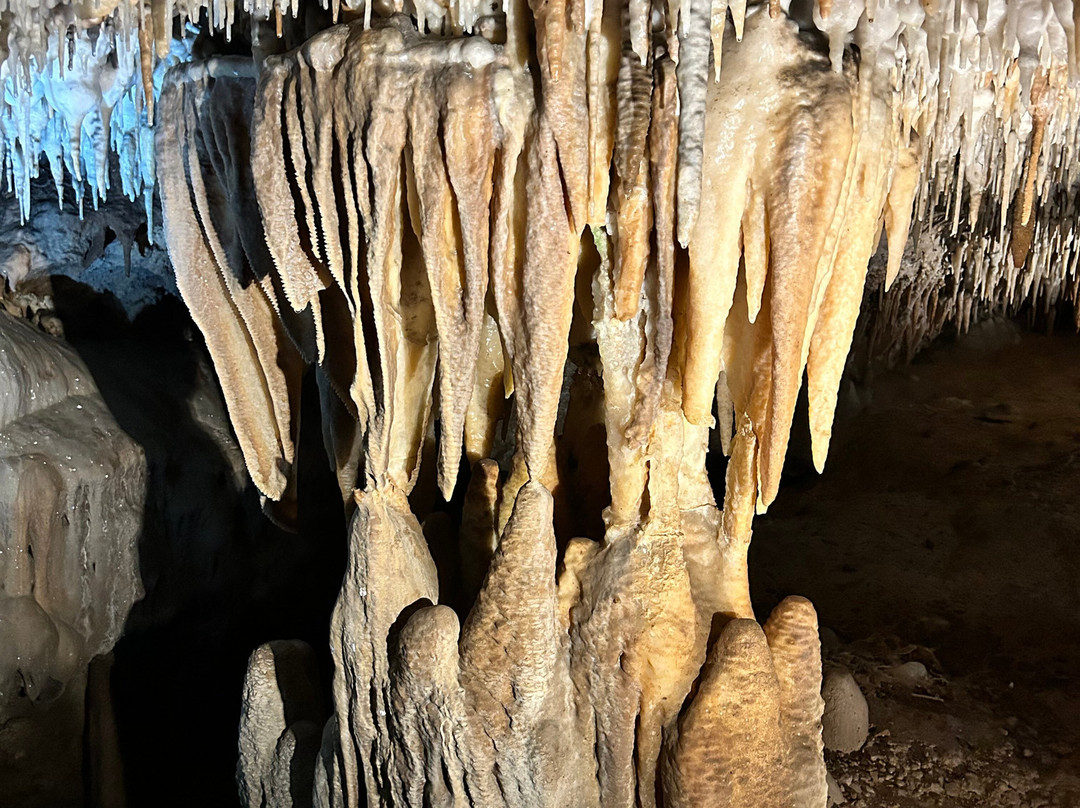 Buchan Caves Reserve-Buchan必去景点