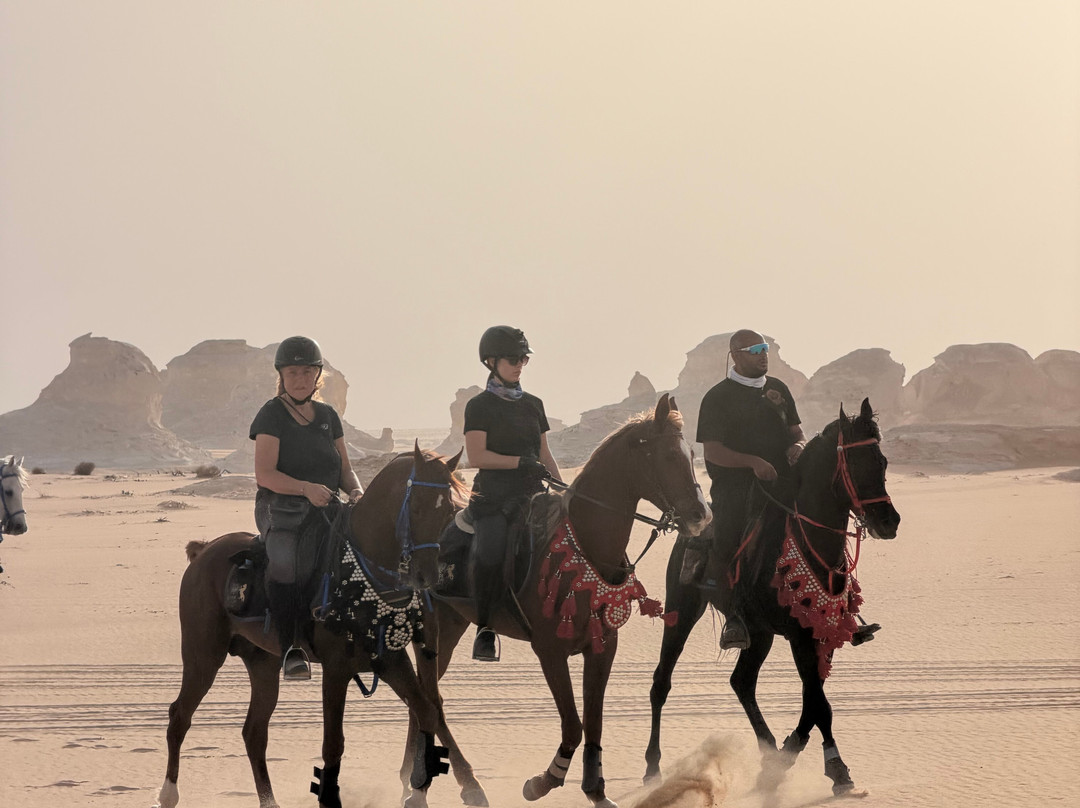 Ride Egypt-赫尔格达必去景点