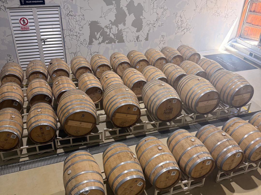 Monte Xanic Bodega Vinícola-Valle de Guadalupe必去景点