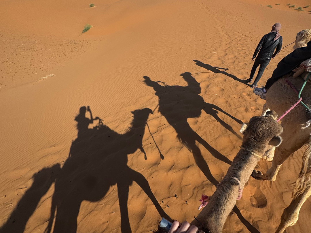 Desert Merzouga Tours-非斯必去景点